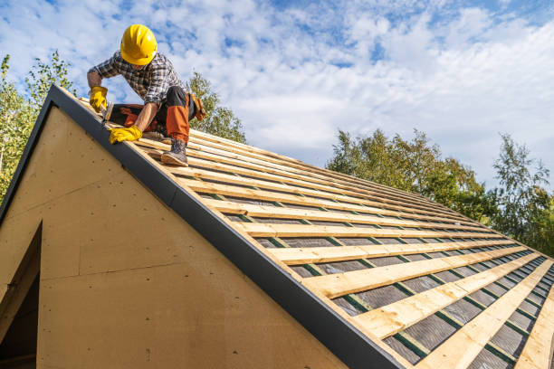 Residential Roof Replacement in Philo, IL