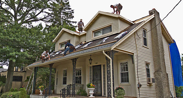 Best Commercial Roofing Services  in Pho, IL