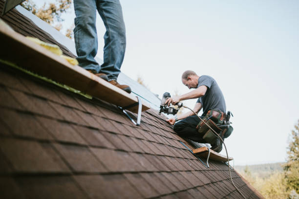 Roof Gutter Cleaning in Philo, IL